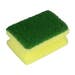 Magic Clean Scourer with Grip – Small Ergonomic Cleaning Sponges - Pack of 10