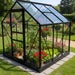 Vitavia Venus 3800 6x6 Black Greenhouse | Toughened Glass | 12 Year Warranty