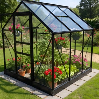 Vitavia Venus 3800 6x6 Black Greenhouse | Toughened Glass | 12 Year Warranty