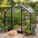 Vitavia Venus 5000 8x6 Black Greenhouse | Toughened Glass | 12 Year Warranty