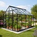 The Vitavia Phoenix Low Threshold Greenhouse-8ft x 10ft-Black-Horticultural Glass