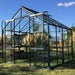 The Vitavia Phoenix Low Threshold Greenhouse-8ft x 12ft-Black-Horticultural Glass