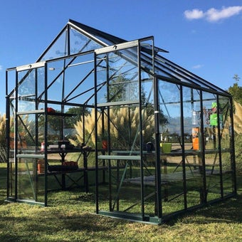 The Vitavia Phoenix Low Threshold Greenhouse-8ft x 12ft-Black-Safety Glass