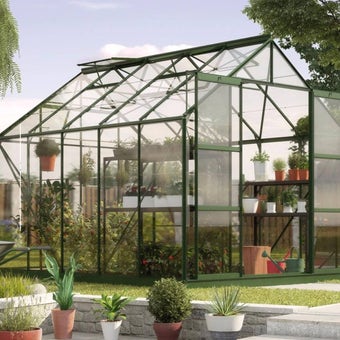 The Vitavia Jupiter 8ft x 10ft Green Finish - Standard Glass**