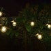 Vivo 365 Solar String Lights | Premium Glass Pendant Lights Set of 8