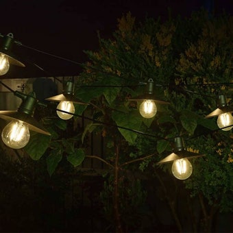 Vivo 365 Solar String Lights | Premium Glass Pendant Lights Set of 8