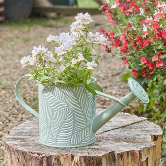 Watering Can Planter - Sage