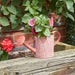 Watering Can Planter - Terracotta