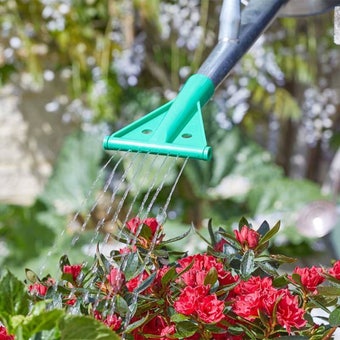 Weed & Feed Watering Can Nozzle | Adjustable Garden Treatment Sprinkler Head