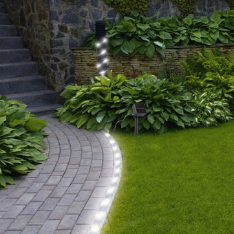 White LED Solar Light String 3m