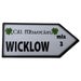 Wooden Wicklow Road Sign Magnet with Shamrocks – Irish Directional Fridge Magnet I 9.5 cm x 4.5 cm