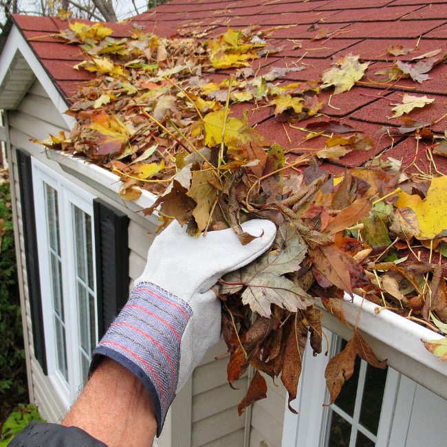 Prepping Your Home for Cooler Weather: An Autumn Checklist