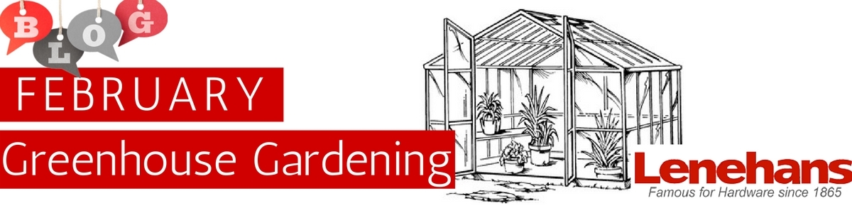 Greenhouse Gardening in February Blog