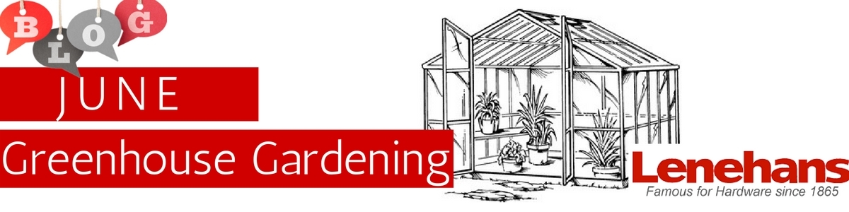 Greenhouse Gardening June