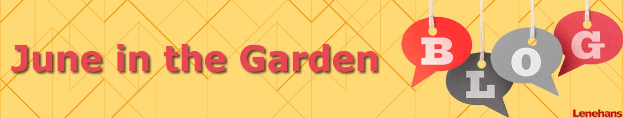June in the Garden