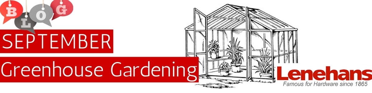 September Gardening In The Greenhouse