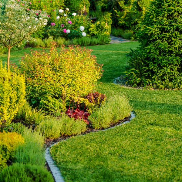  Ready, Set, Grow! Transform Your Garden with Lenehans Gardening Supplies this April.