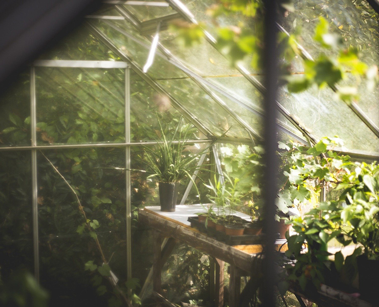 Autumn Gardening