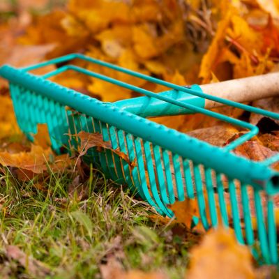 Autumn Gardening 