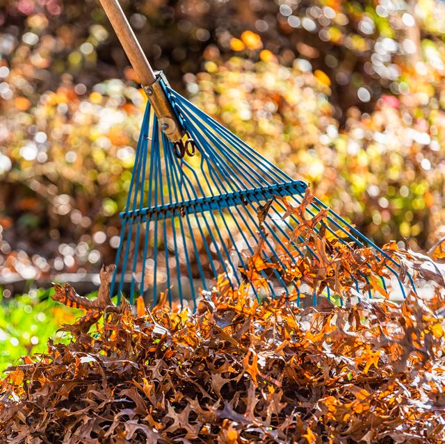 What are Garden Rakes Used For?