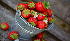 Greenhouse Gardening - July