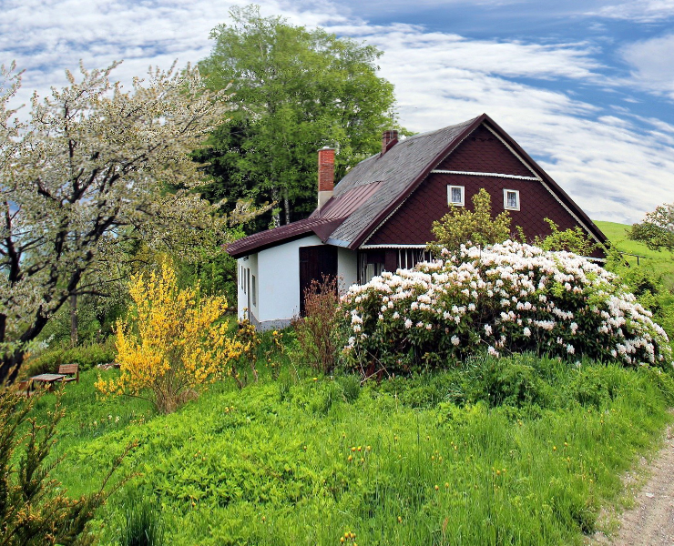 Garden Checklist For March