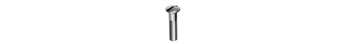 Raised Screw Head Image