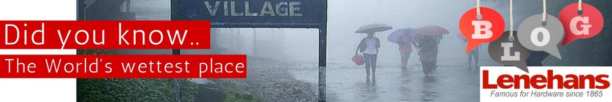 World's Wettest Place Blog