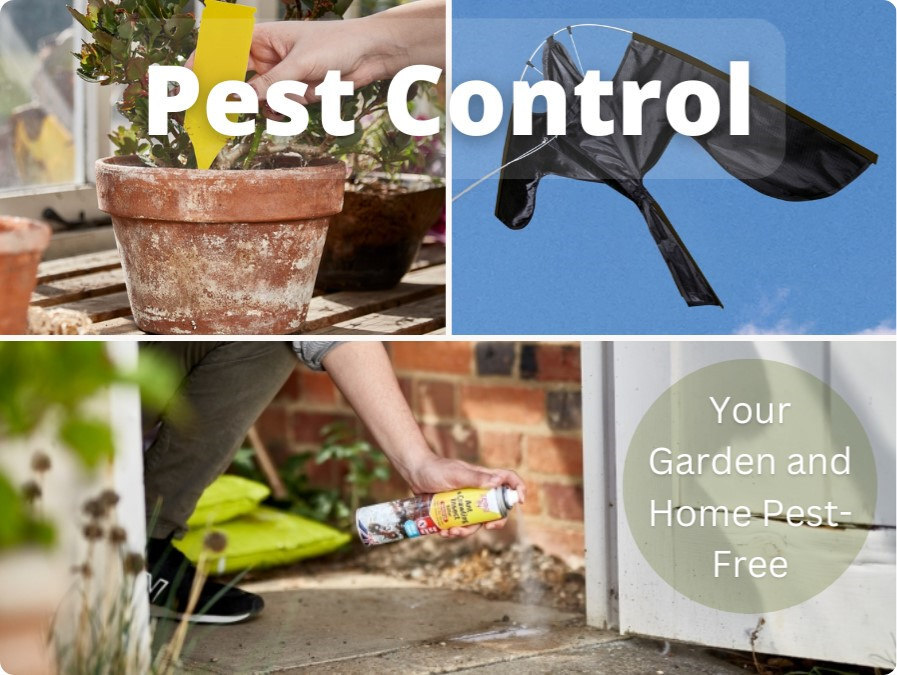 Pest Control Products at Lenehans.ie